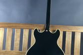 Sire H7 Larry Carlton-4.jpg